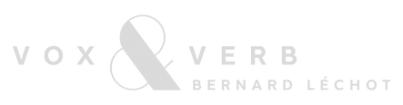 Logo Vox & Verb